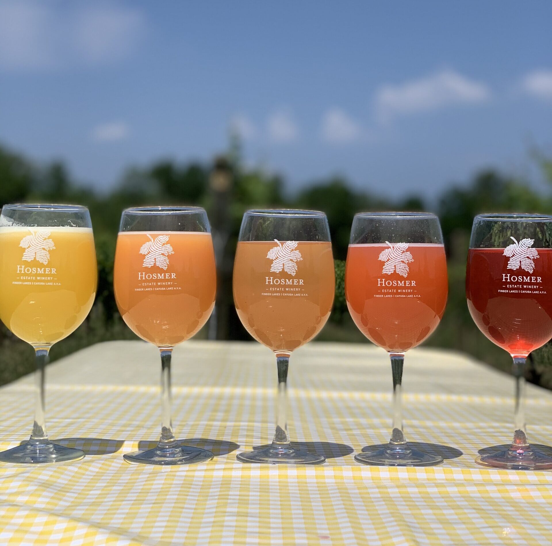 mimosa line up