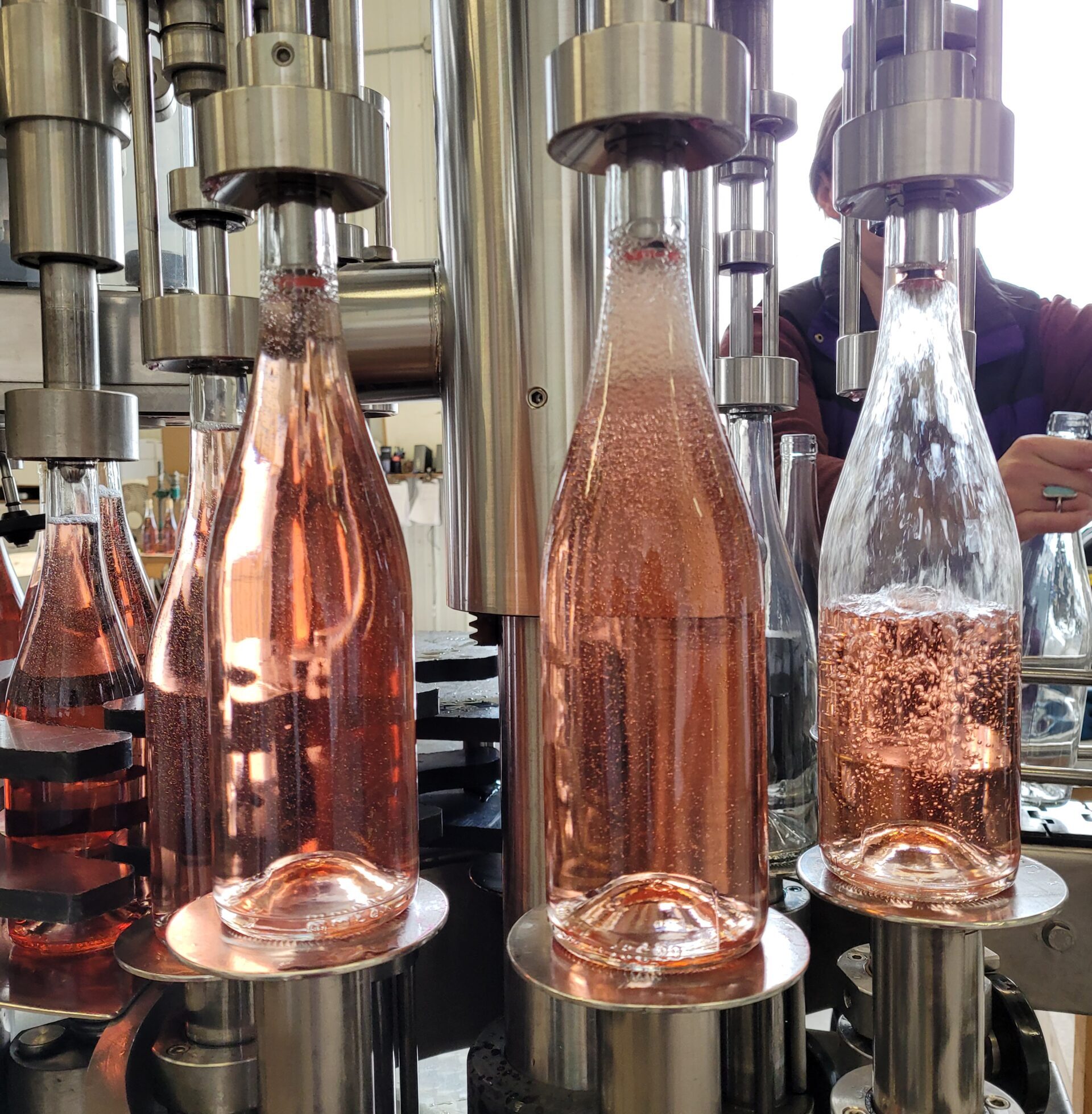 dry rose of lemberger being bottled