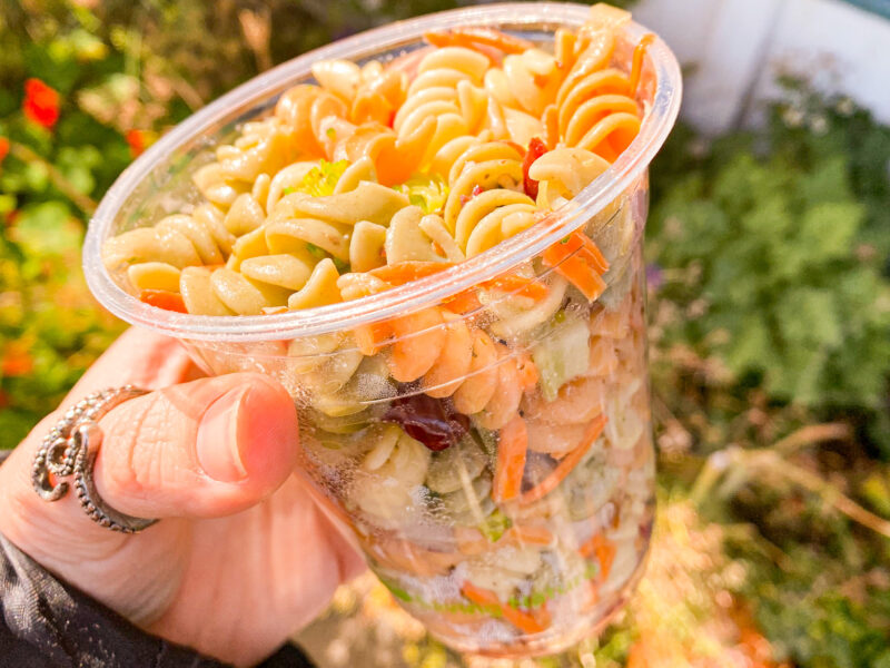fall pasta salad