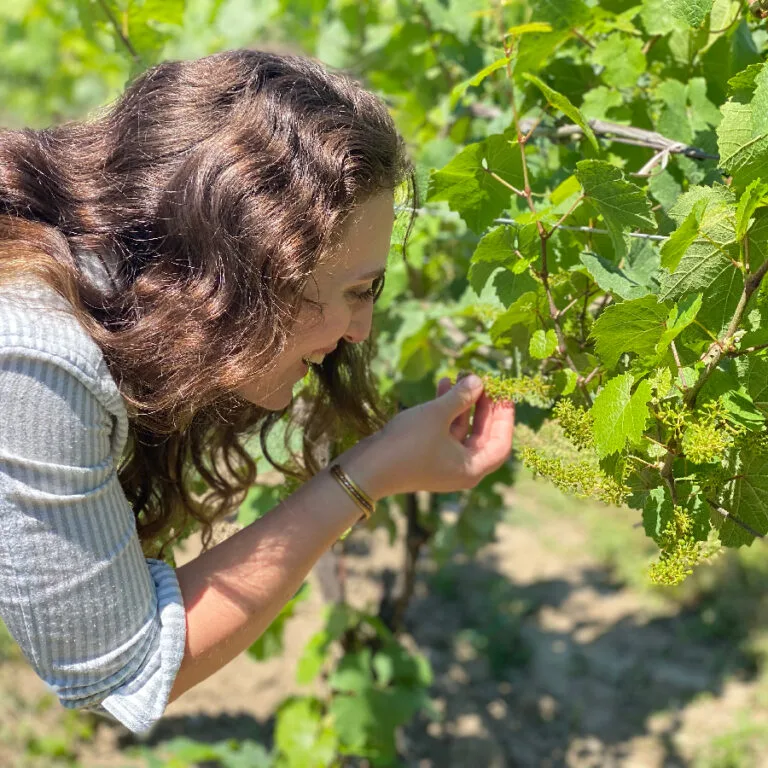 Emily inspecting grapes